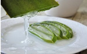 aloe juice