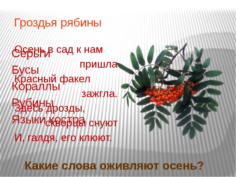 Зацветет рябина и кончится весна а когда рябина покраснеет схема