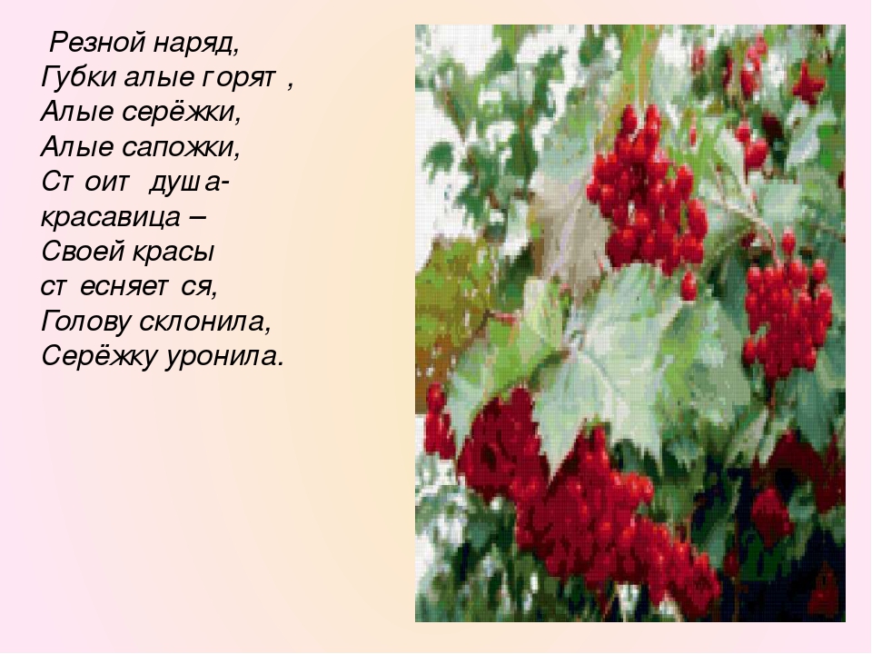 Моя любовь как алый цвет рябин песня. Рябина алая. Рябины гроздья Алые стихи. Стихотворение гроздья рябины горят алым цветом. Стих рябина Алые в саду.