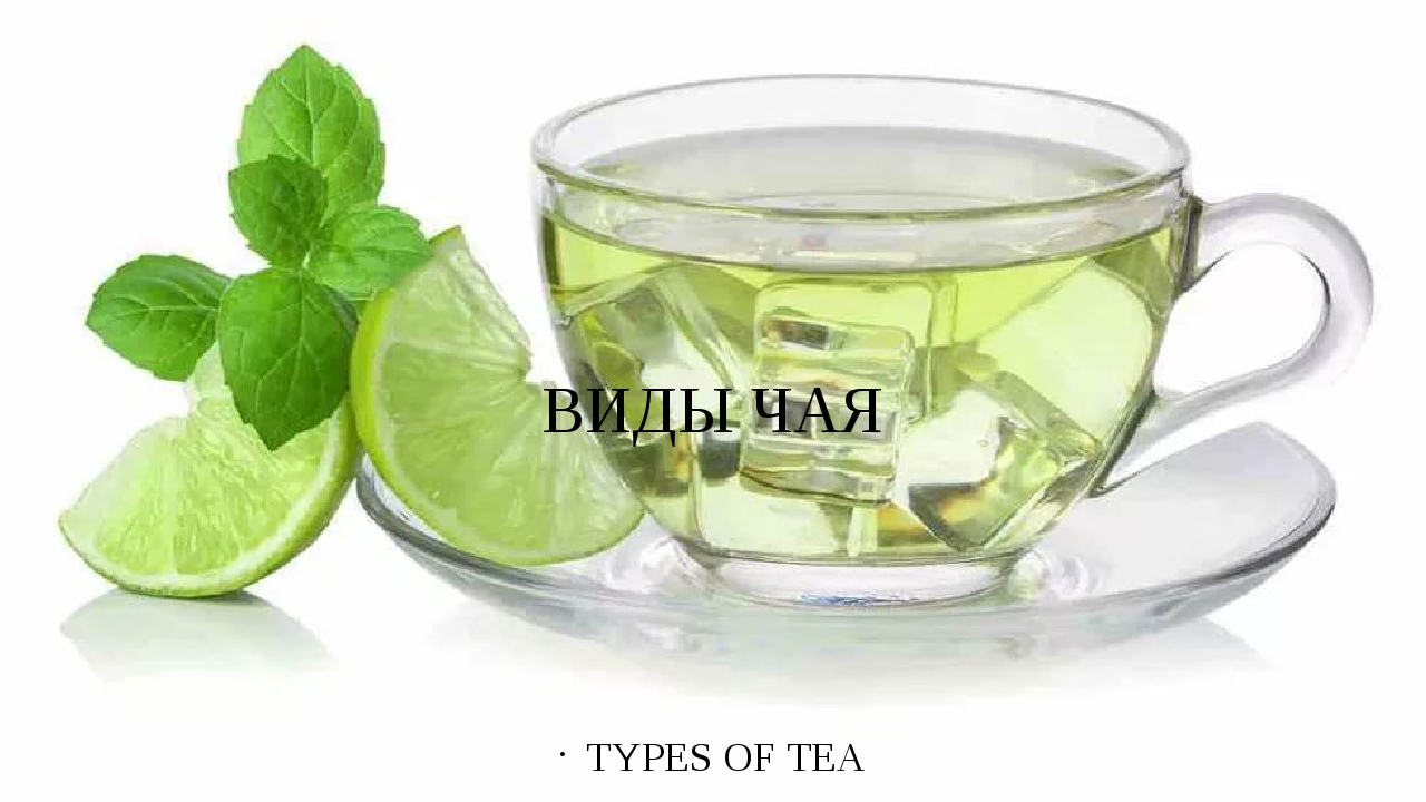 Чай мята лайм. Чай с лаймом. Чай с мятой. Чашка зеленого чая. Зеленый чай с мятой.