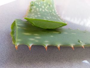 aloe vera face pack for acne